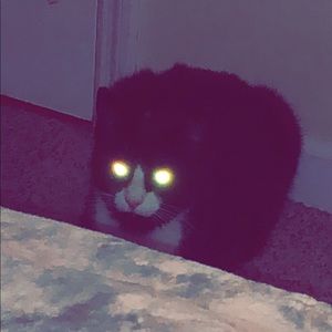 Meet your Posher, Aman